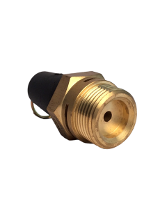 Safety Valve, 1", 10.5 Bar