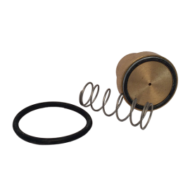 Check Valve Seal Kit, For 1" ,Non return Valve